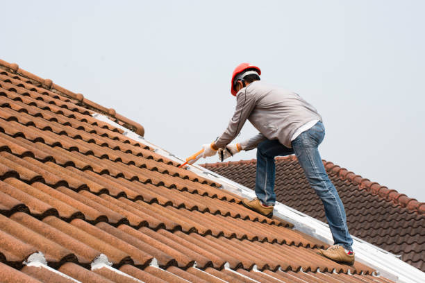 Best Roof Leak Repair  in Bridgeport, PA